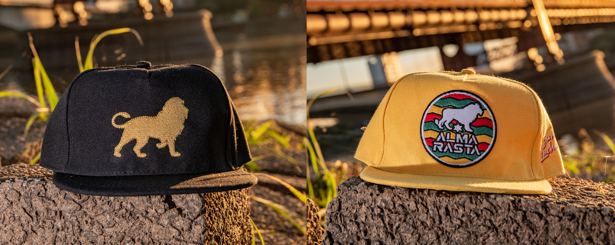 Gorras / Viseras / Pilusos